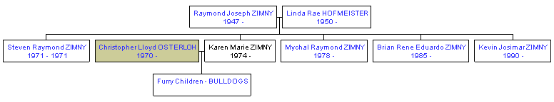 Mini tree diagram