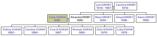 Mini tree diagram