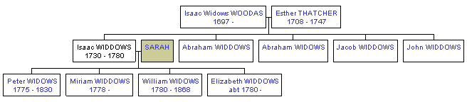 Mini tree diagram