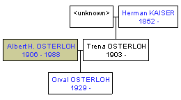 Mini tree diagram