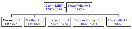 Mini tree diagram