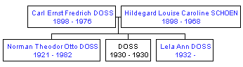 Mini tree diagram