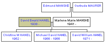 Mini tree diagram