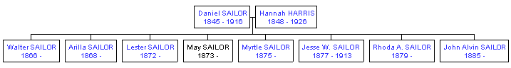 Mini tree diagram