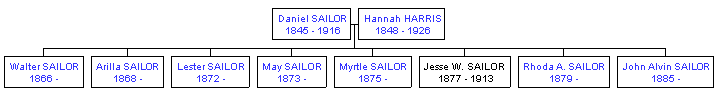 Mini tree diagram