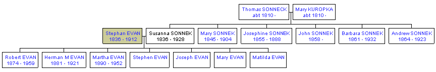 Mini tree diagram